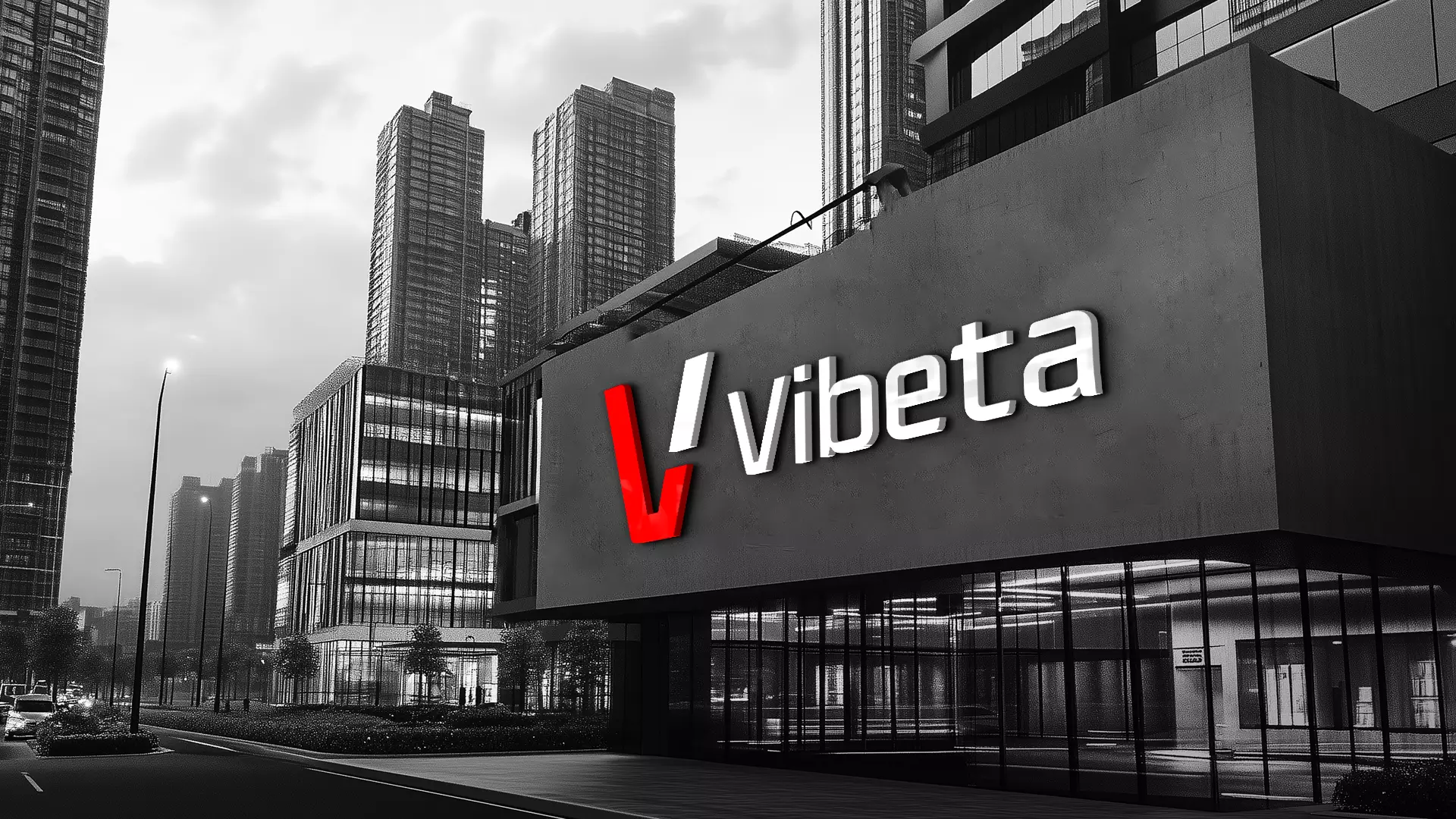 Vibeta Case Study